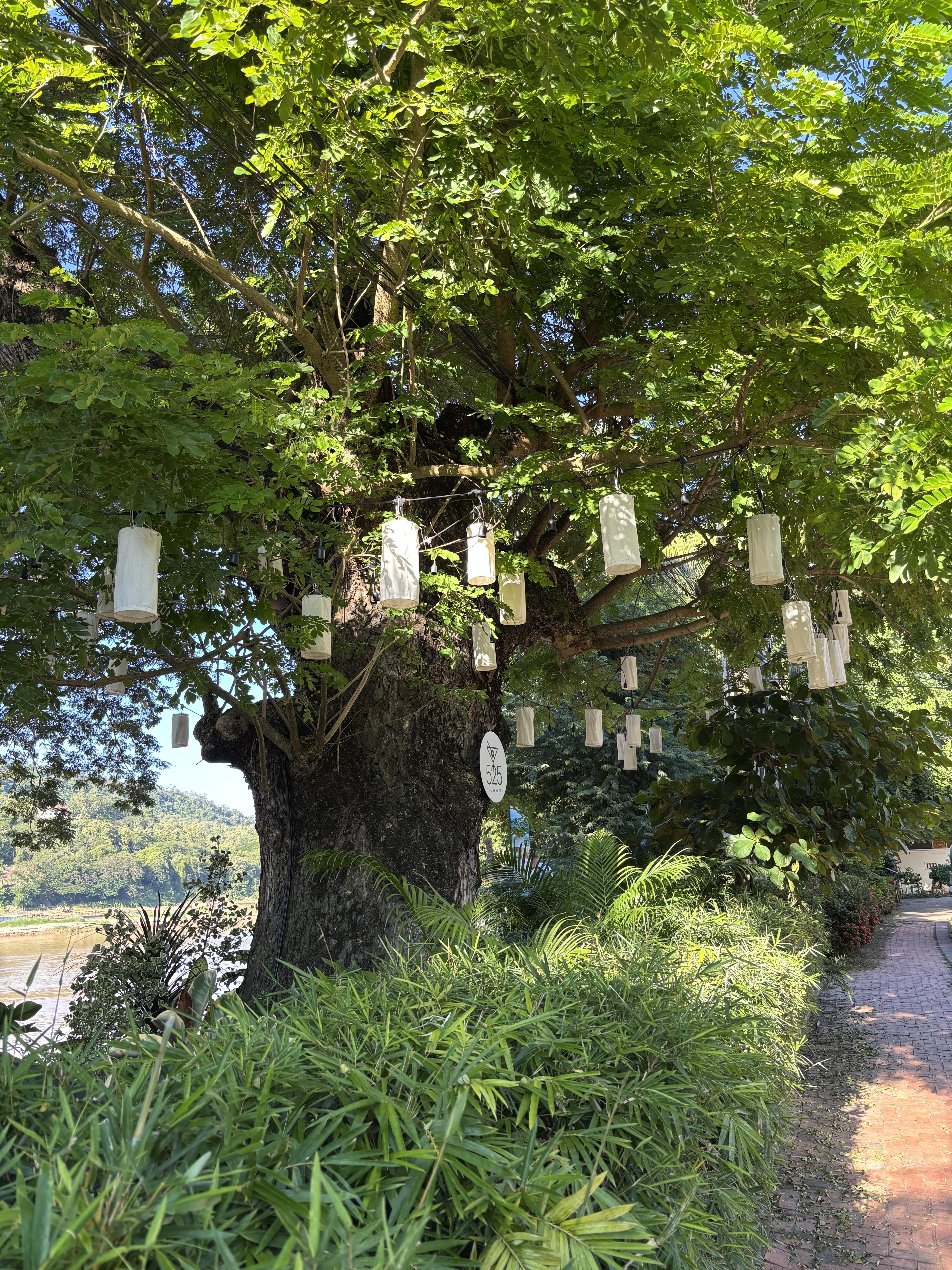Luang Prabang Riverfront 1