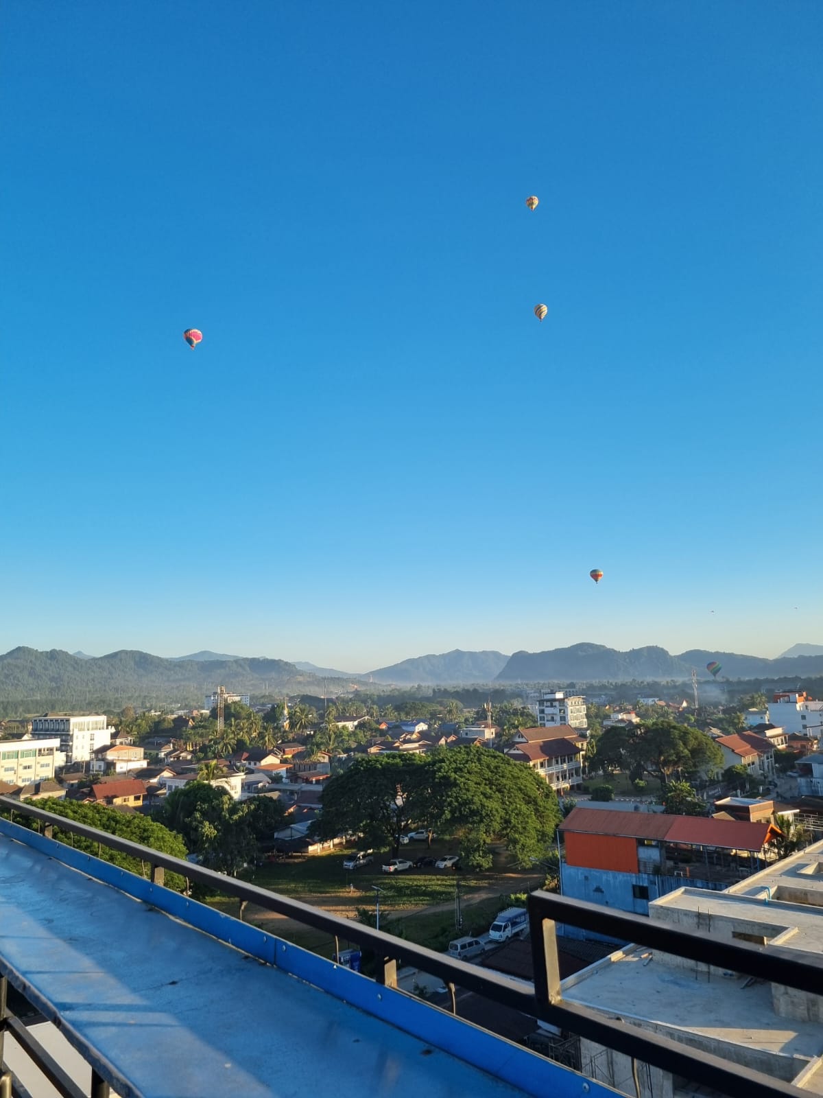 Elephant Crossing Rooftop