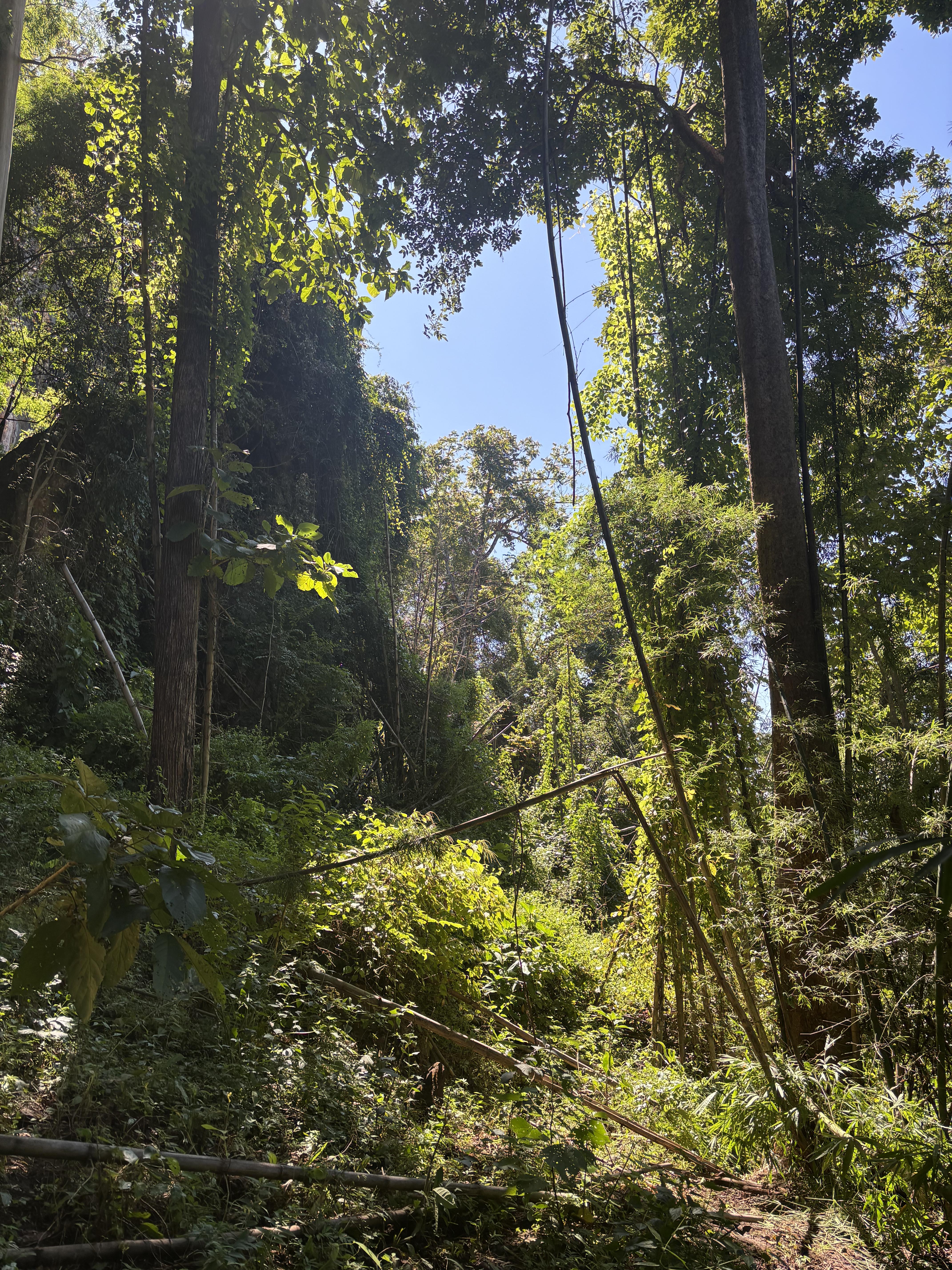 Hikeday2 2