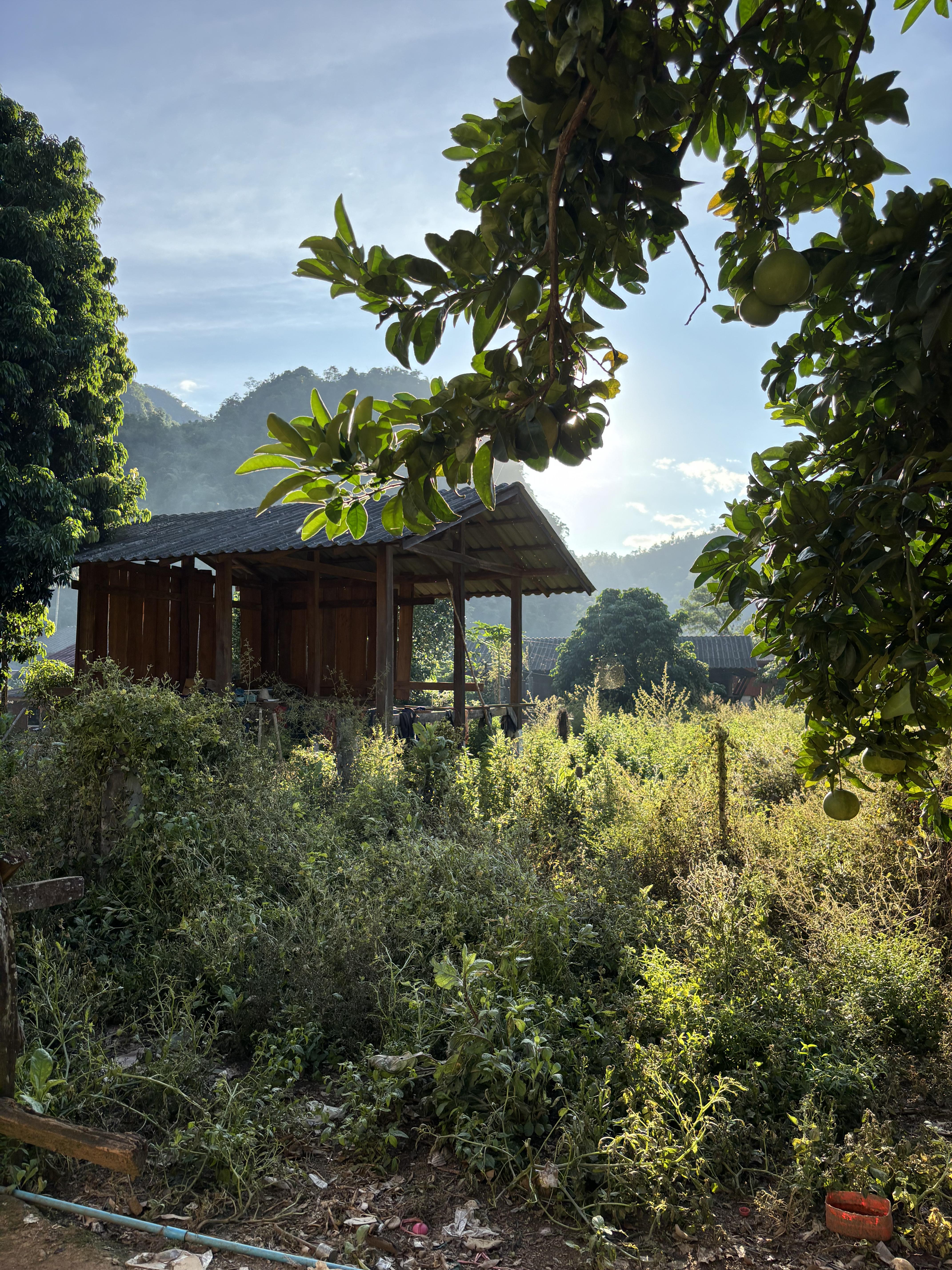 Hike village 2