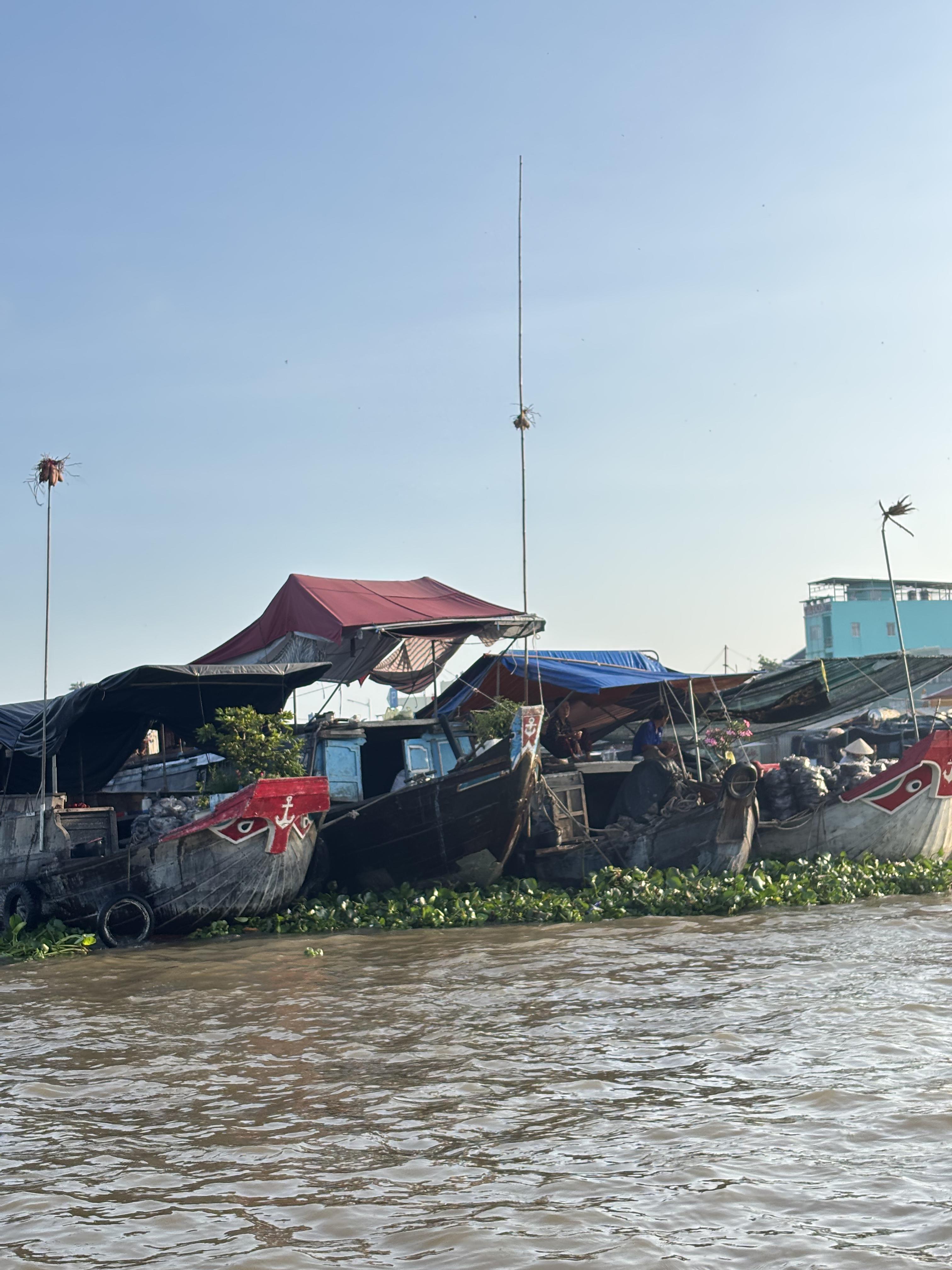 The Cai Rang Floating Market